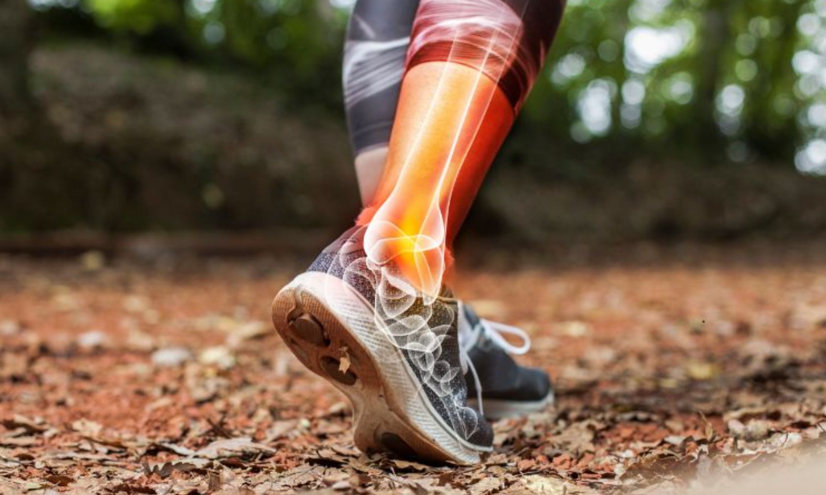 ankle joint during running